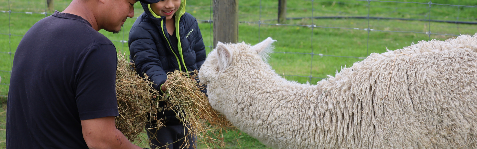 Things to Do in Christchurch When It’s Raining